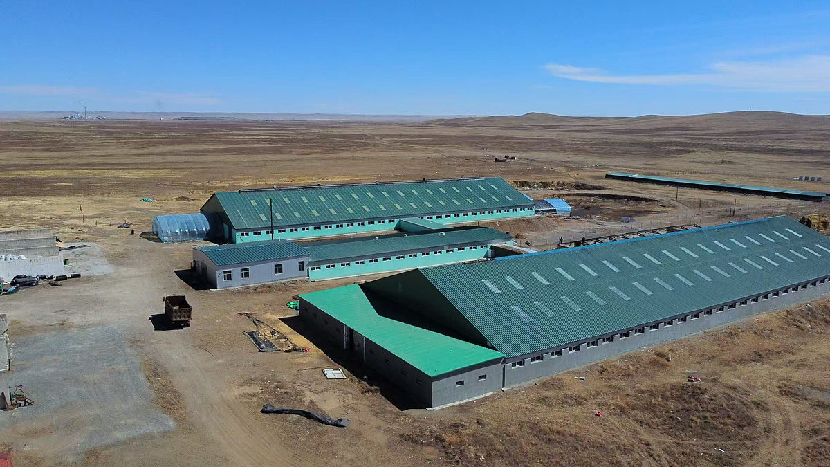 Aerial view of the Bayan cluster farm barns on open steppe