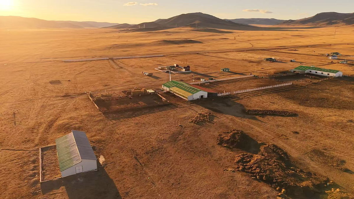 Aerial view of the Bayandelger cluster farm at sunset